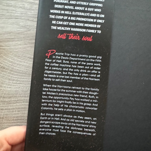 Sign Here by Claudia Lux Hardcover - Picture 2 of 2